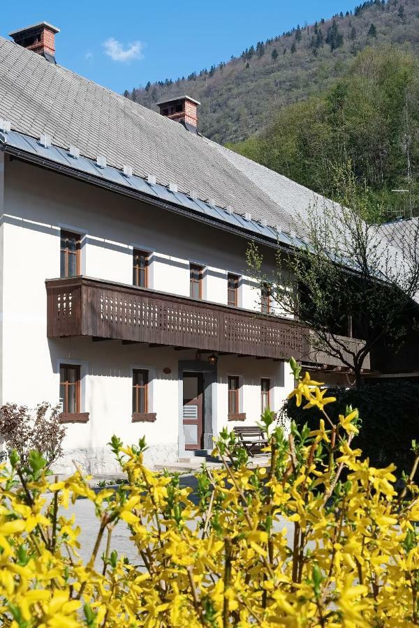 Pr'Mruzo Apartmaji Bohinj Buitenkant foto